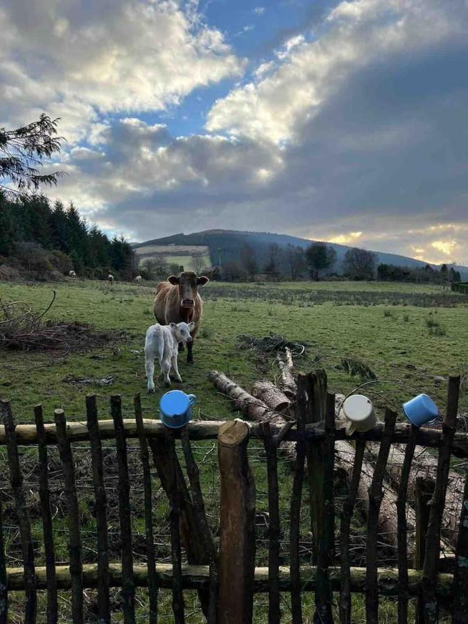 Aughavannagh Yurt Glamping Огрим Екстер'єр фото